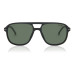 CARRERA POLARIZADO 279S 003UC
